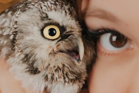 Kasino AllStar Slots Tuki